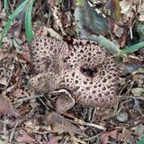 팜모닝 자유주제·자유게시판 게시글 이미지