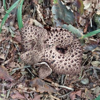 박수연님의 자유주제 · 자유게시판 작성글 사진