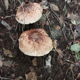 박수연님의 자유주제 · 자유게시판 작성글 사진