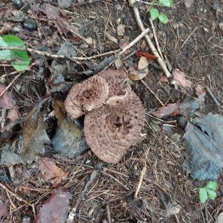 박수연님의 자유주제 · 자유게시판 작성글 사진