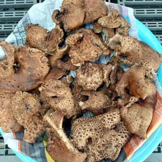 박수연님의 자유주제 · 자유게시판 작성글 사진