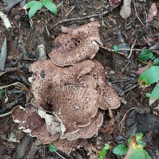 박수연님의 자유주제 · 자유게시판 작성글 사진