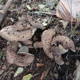 박수연님의 자유주제 · 자유게시판 작성글 사진