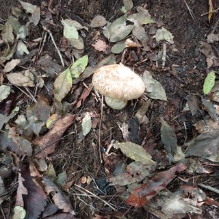 박수연님의 자유주제 · 자유게시판 작성글 사진