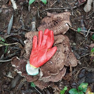 박수연님의 자유주제 · 자유게시판 작성글 사진