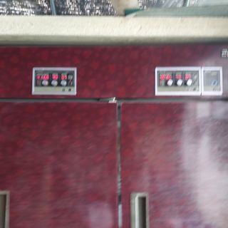 강원도 횡성군님의 고추 · 일상 작성글 사진