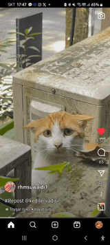 팜모닝 ↑ 윷놀이 하고 추석덕담 하기·참여글 게시글 이미지