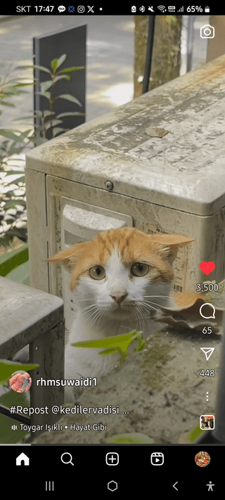 khan님의 ↑ 윷놀이 하고 추석덕담 하기 · 참여글 작성글 사진