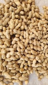 팜모닝 · 게시글 이미지