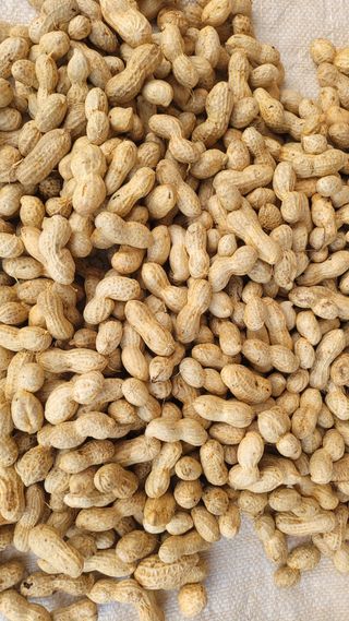 먹골농부님의 작성글 사진