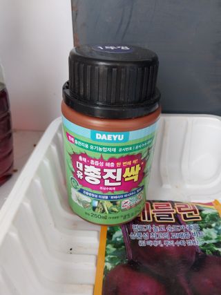 하늘샘(하경수)님의 배추 · 병해충상담 작성글 사진