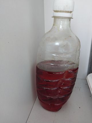 하늘샘(하경수)님의 배추 · 병해충상담 작성글 사진