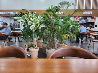 together님의 ↑ 윷놀이 하고 추석덕담 하기 · 참여글 작성글 사진