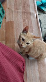 팜모닝 자유주제·건의해요 게시글 이미지