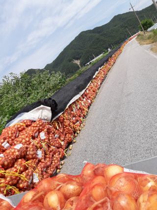 이용근님의 작성글 사진