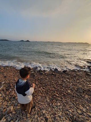 고춘석님의 자유주제 · 자유게시판 작성글 사진