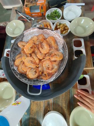 고춘석님의 자유주제 · 자유게시판 작성글 사진