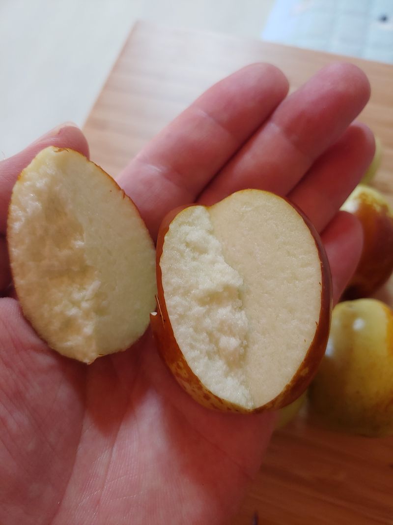 천승준님의 장터 판매 상품 [밀양 사과대추 1kg] 첨부 사진