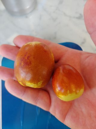 천승준님의 작성글 사진