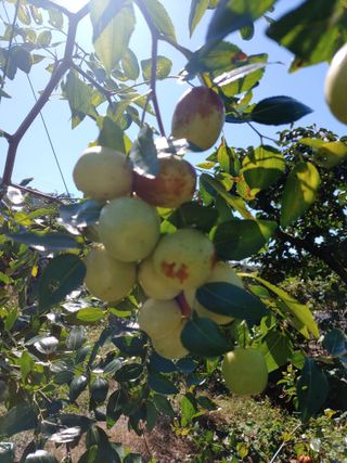 천승준님의 작성글 사진