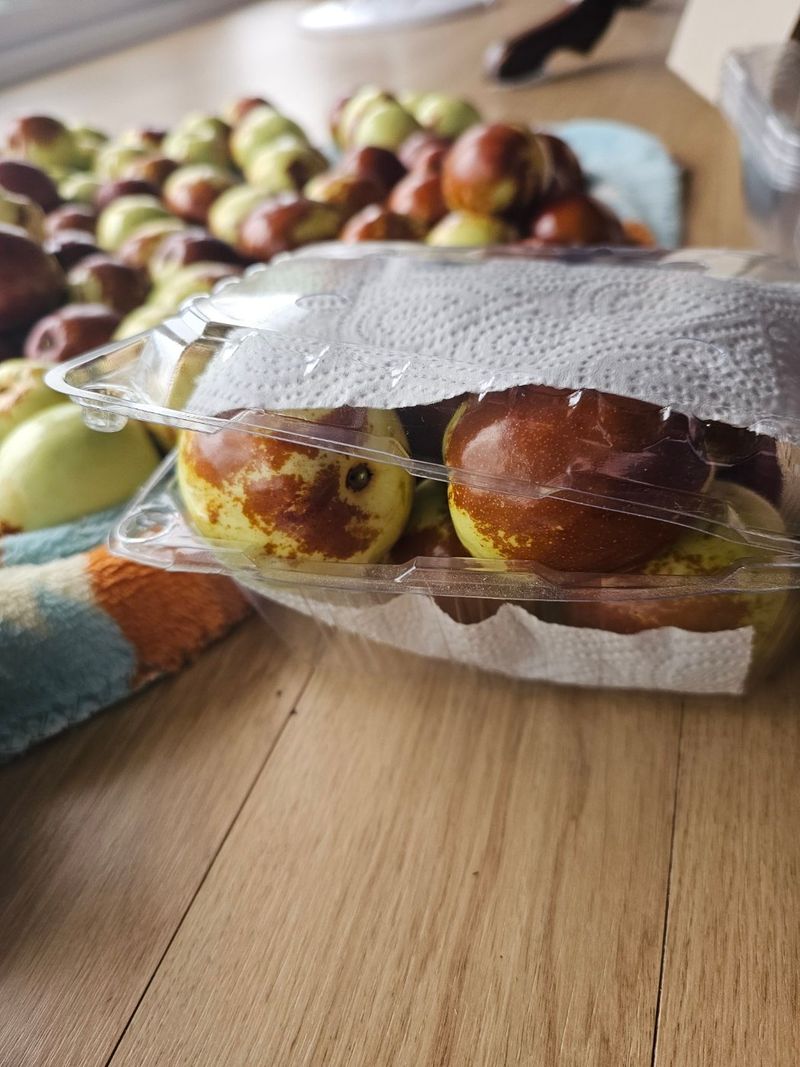 천승준님의 장터 판매 상품 [밀양 사과대추 1kg] 첨부 사진