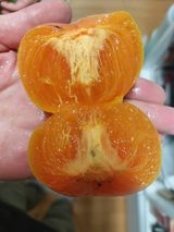 팜모닝 · 게시글 이미지