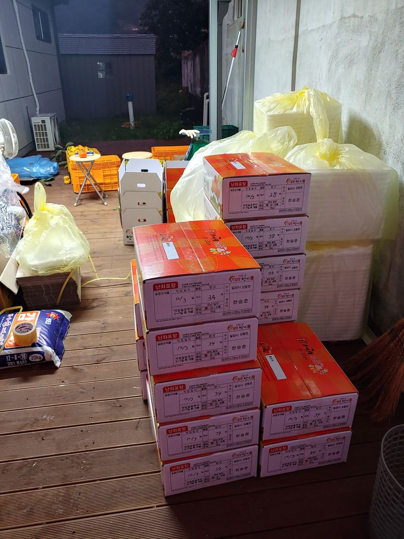 천승준님의 장터 판매 상품 [반시(홍시감) 5kg] 첨부 사진