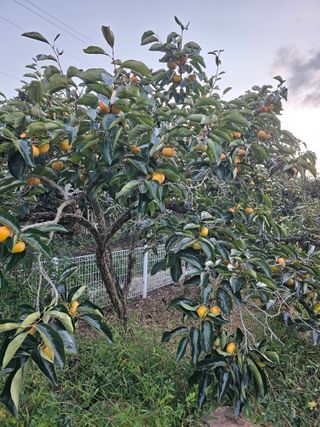 천승준님의 작성글 사진