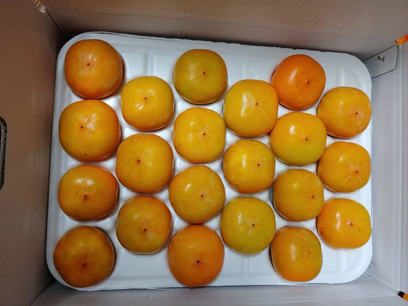 천승준님의 장터 판매 상품 [반시(홍시감) 5kg] 첨부 사진