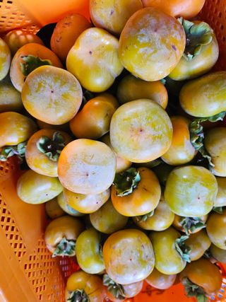 천승준님의 작성글 사진