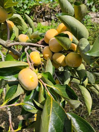 천승준님의 작성글 사진