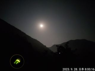 유병욱님의 벼 · 자유게시판 작성글 사진