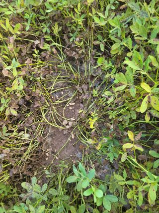 이원우님의 기타작물 · 자유게시판 작성글 사진