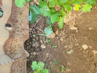 이원우님의 기타작물 · 자유게시판 작성글 사진