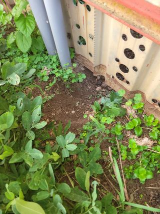 이원우님의 기타작물 · 자유게시판 작성글 사진