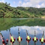 팜모닝 ↑ 윷놀이 하고 추석덕담 하기·참여글 게시글 이미지