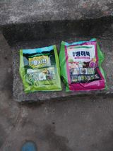 팜모닝 자유주제·건의해요 게시글 이미지