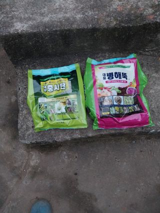 차영근님의 자유주제 · 건의해요 작성글 사진