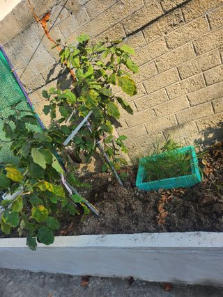 나영호님의 ↑ 윷놀이 하고 추석덕담 하기 · 참여글 작성글 사진