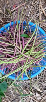 팜모닝 자유주제·자유게시판 게시글 이미지