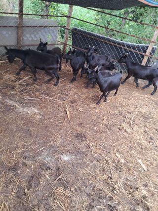 김석현님의 작성글 사진