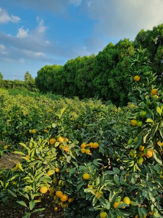 박종례님의 자유주제 · 건의해요 작성글 사진