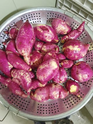 권병관님의 ↑ 윷놀이 하고 추석덕담 하기 · 참여글 작성글 사진