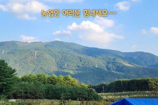 알 수 없음님의 ↑ 윷놀이 하고 추석덕담 하기 · 참여글 작성글 사진