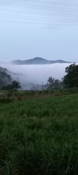 팜모닝 ↑ 윷놀이 하고 추석덕담 하기·참여글 게시글 이미지