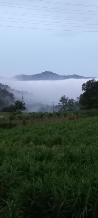 규수김님의 ↑ 윷놀이 하고 추석덕담 하기 · 참여글 작성글 사진