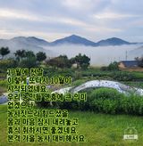 팜모닝 자유주제·자유게시판 게시글 이미지