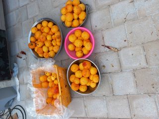 성낙신 님의 자유주제 · 자유게시판 작성글 사진