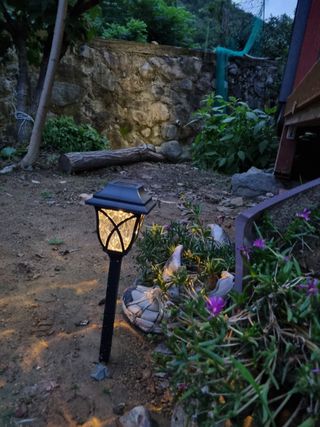 삼정리 여인님의 블루베리 · 자유게시판 작성글 사진