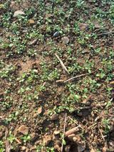 팜모닝 우리동네·동네자랑 게시글 이미지